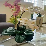 Casa Fanning Hotel